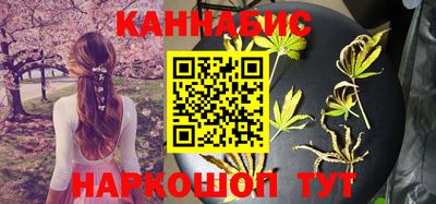 шишки Канаш