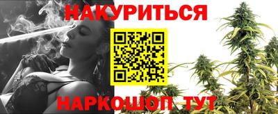 шишки Канаш