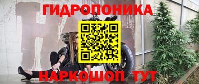 тгк Камышлов