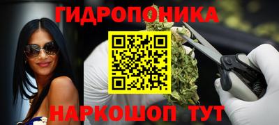 тгк Камышлов