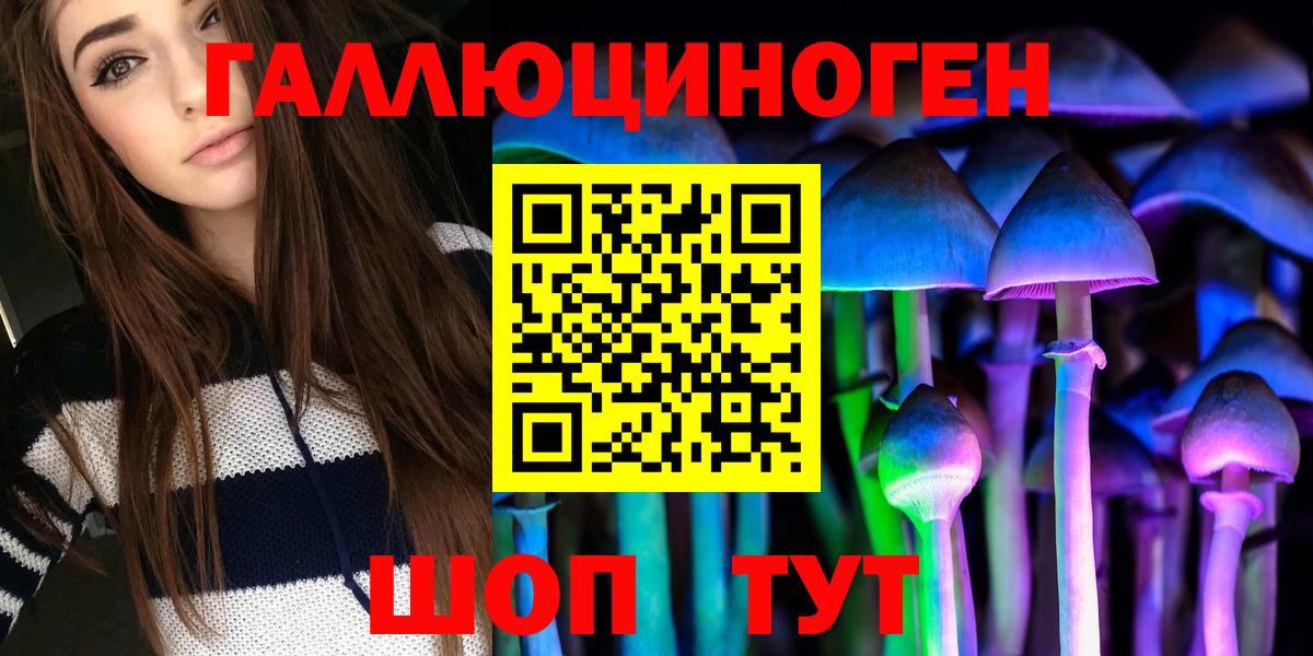 где купить   Вход с VPN  Ленинск-Кузнецкий  Псилоцибиновые грибы Psilocybe 