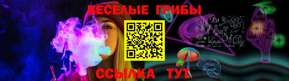 Галлюциногенные грибы Psilocybe Ленинск-Кузнецкий